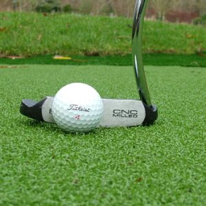 golf-turf